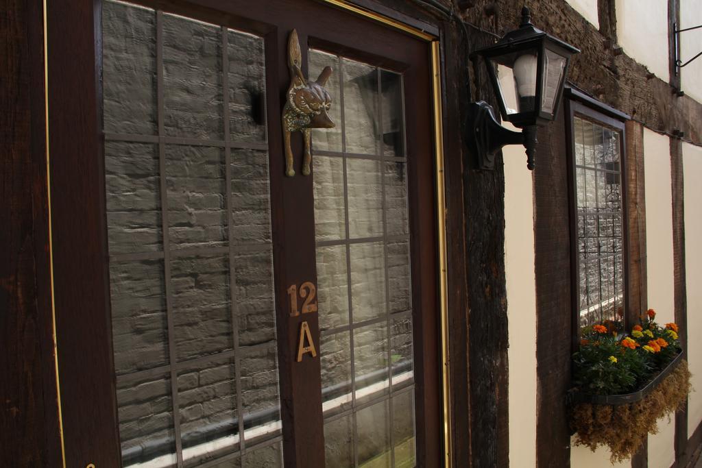 丽普什鲁斯伯里12A山书院度假屋 外观 照片